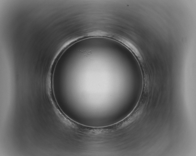 X0000111781000200907231119