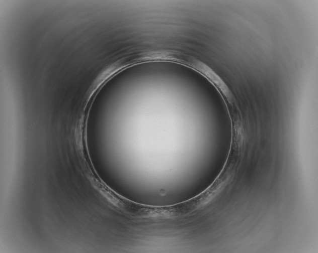 X0000111781002200907231119