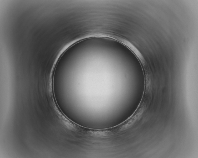 X0000111781004200907231119