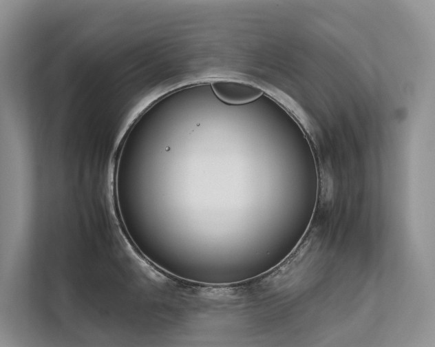 X0000111781006200907231119