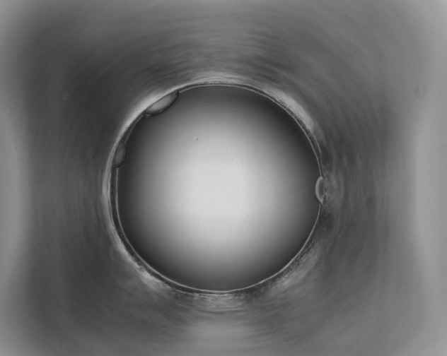 X0000111781007200907231119