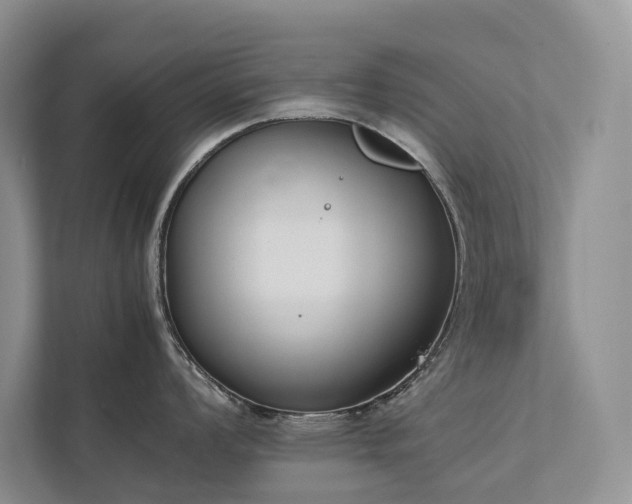 X0000111781008200907231119