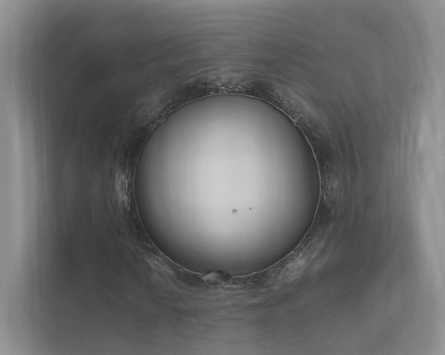 X0000111781010200907231118