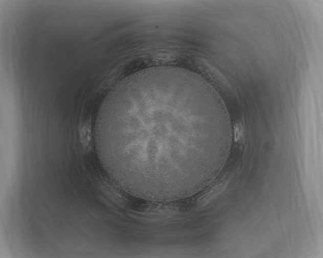 X0000111781011200907231118