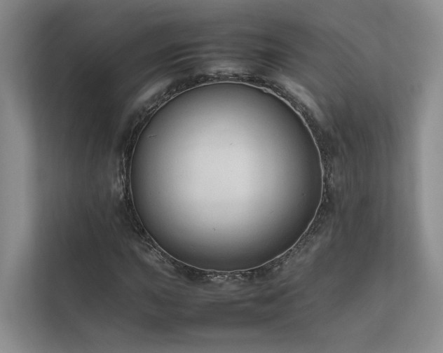 X0000111781015200907231118