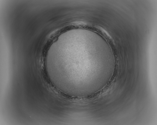 X0000111781016200907231118