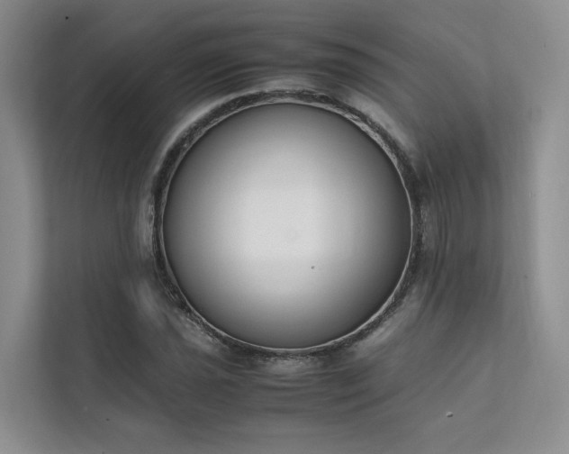 X0000111781021200907231118