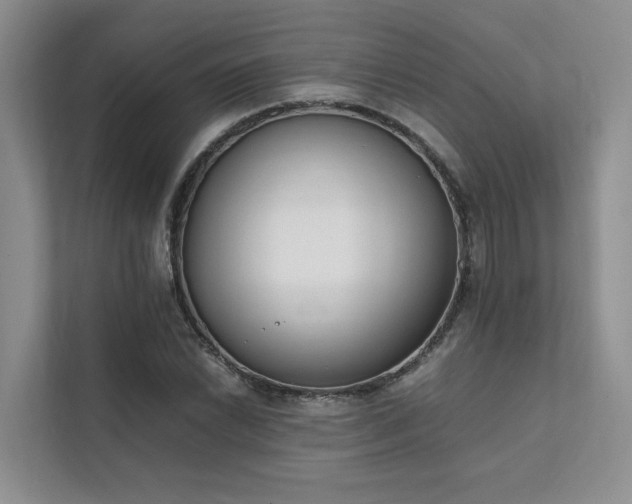 X0000111781022200907231118