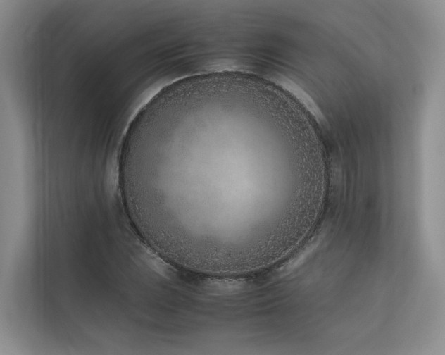 X0000111781023200907231118