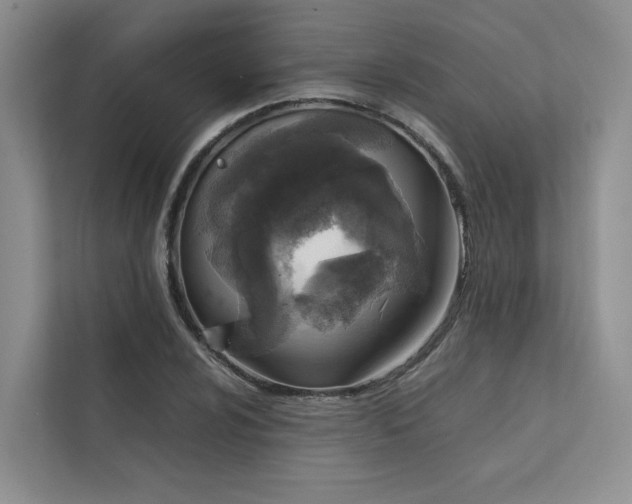 X0000111781024200907231118