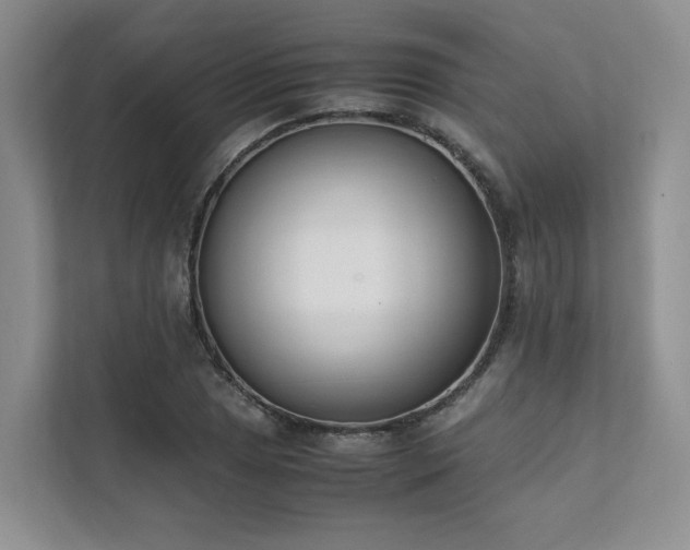 X0000111781025200907231118