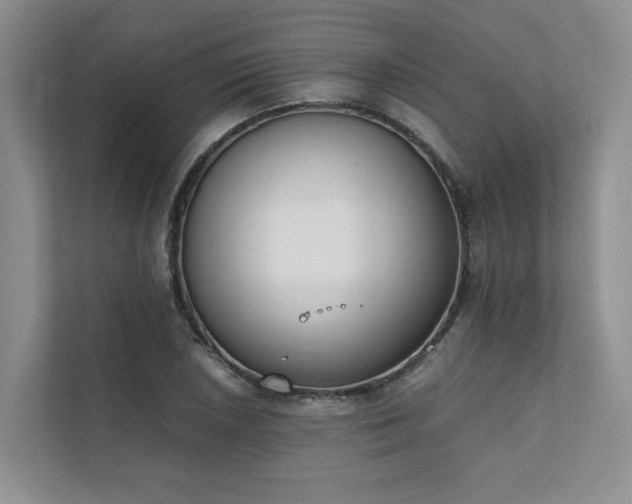 X0000111781026200907231118