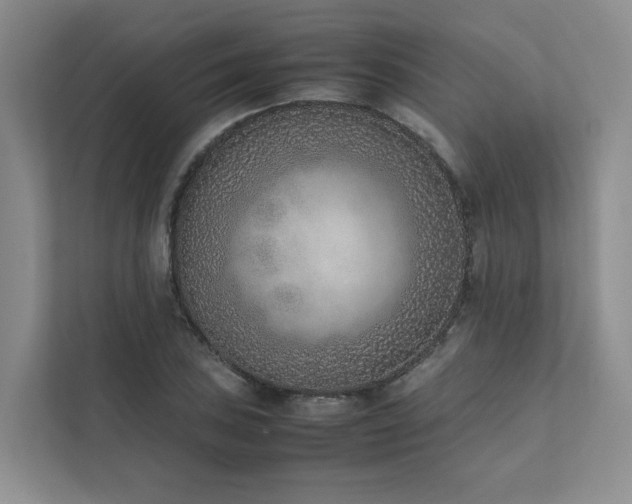 X0000111781027200907231118