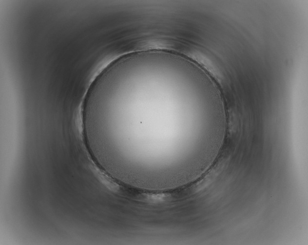 X0000111781031200907231119