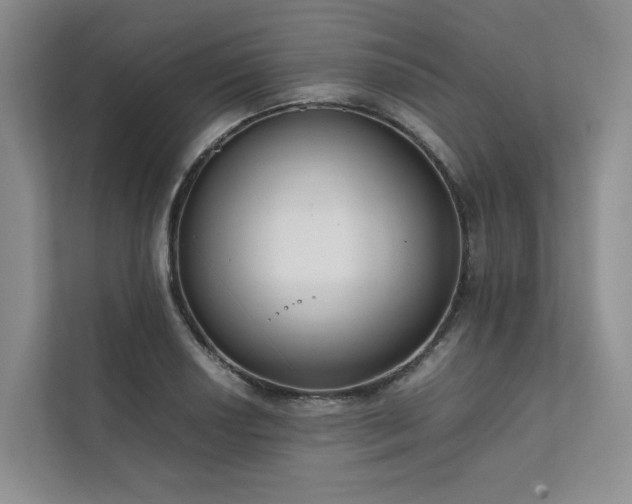 X0000111781034200907231119
