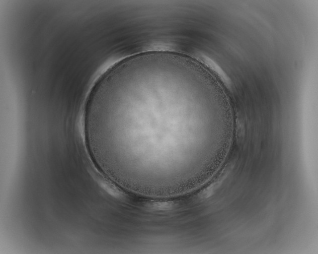 X0000111781035200907231119