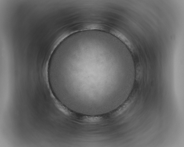 X0000111781039200907231119
