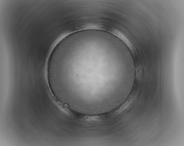 X0000111781043200907231119
