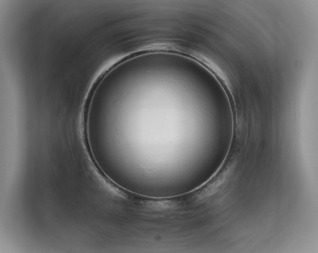 X0000111781045200907231119
