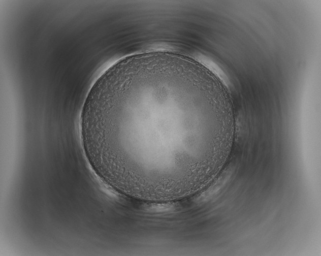 X0000111781047200907231119
