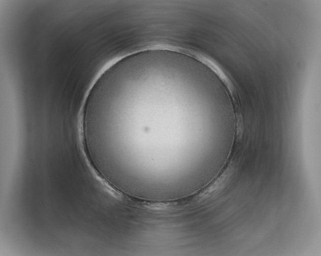 X0000111781048200907231119
