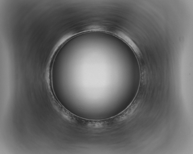 X0000111781051200907231119