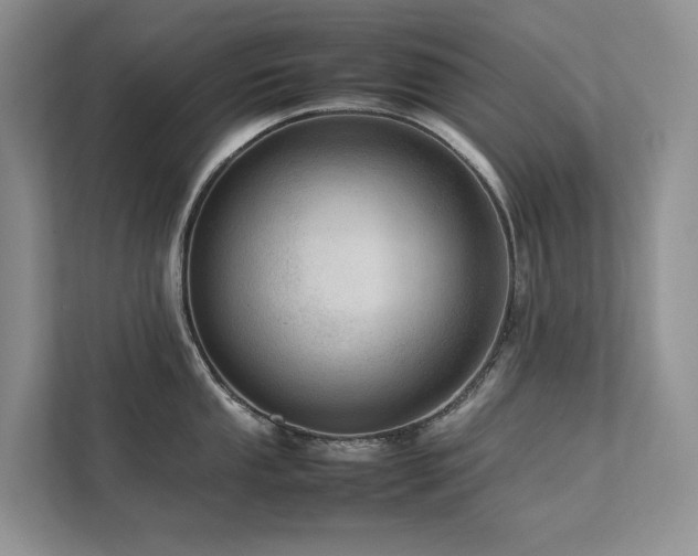 X0000111781053200907231119