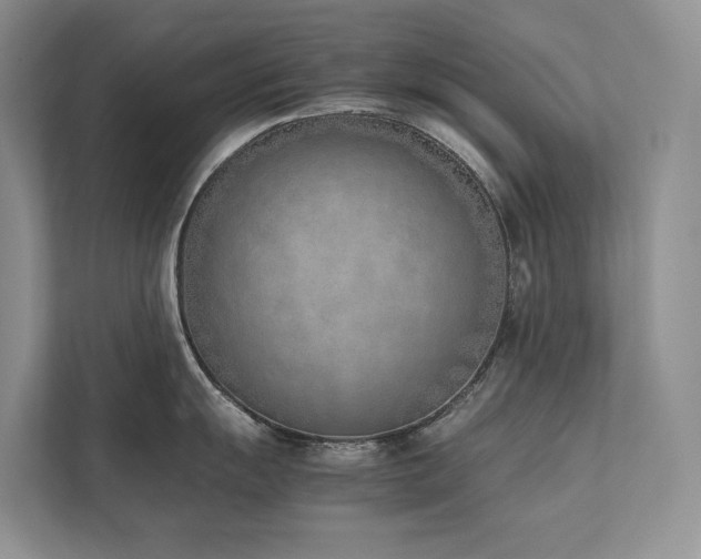X0000111781055200907231119