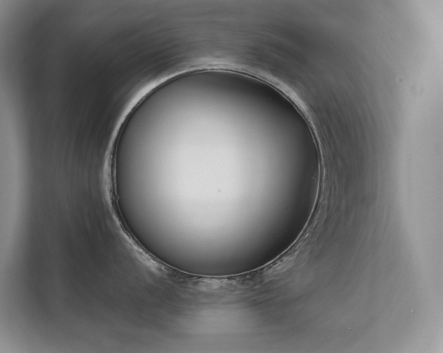 X0000111781056200907231119