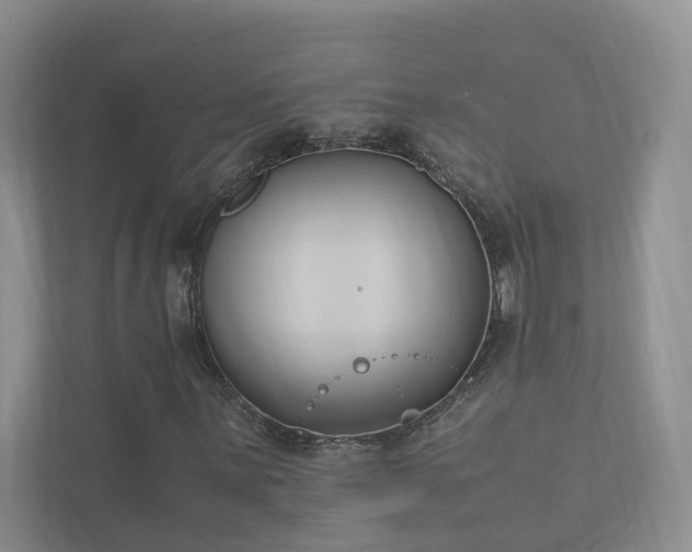 X0000111781059200907231118