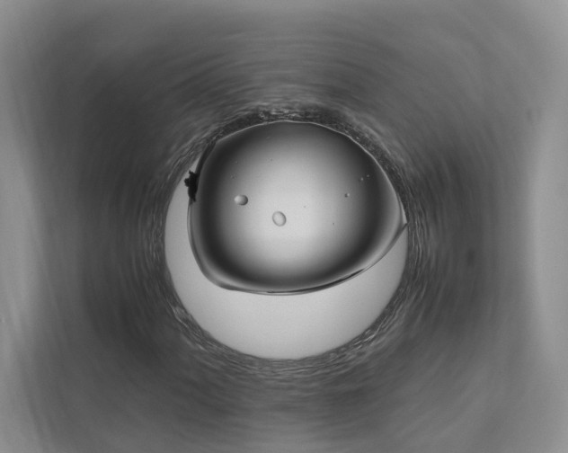 X0000111781060200907231118