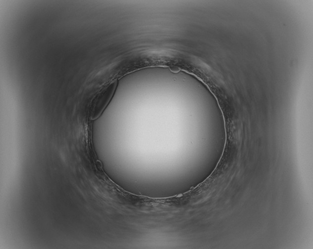 X0000111781061200907231118