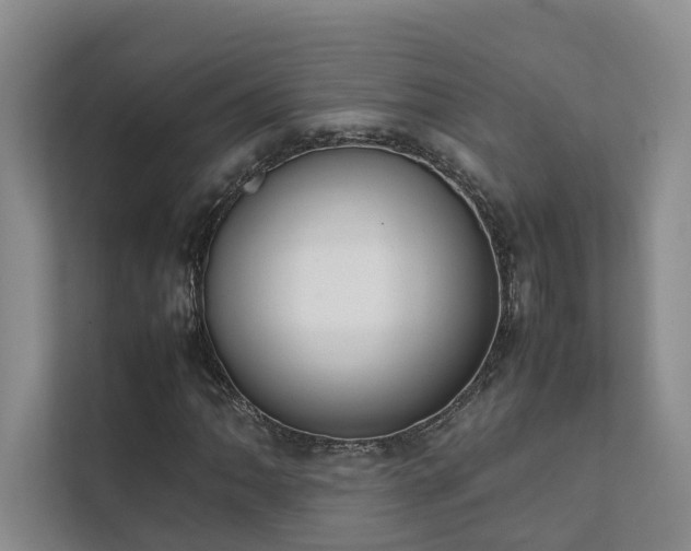 X0000111781062200907231118
