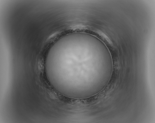 X0000111781063200907231118