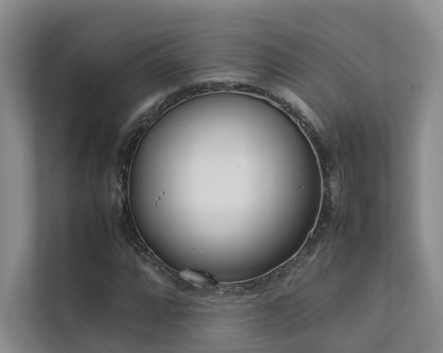 X0000111781064200907231118