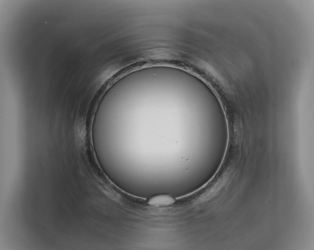 X0000111781065200907231118