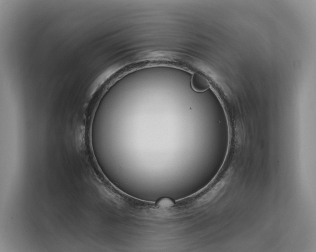 X0000111781066200907231118