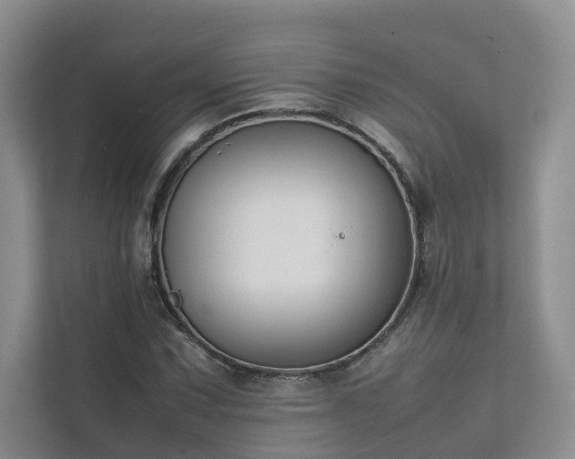 X0000111781067200907231118