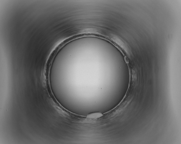X0000111781068200907231118