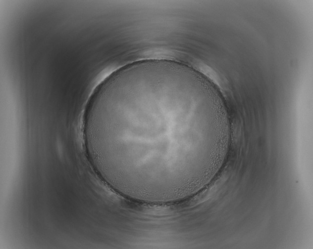 X0000111781071200907231118