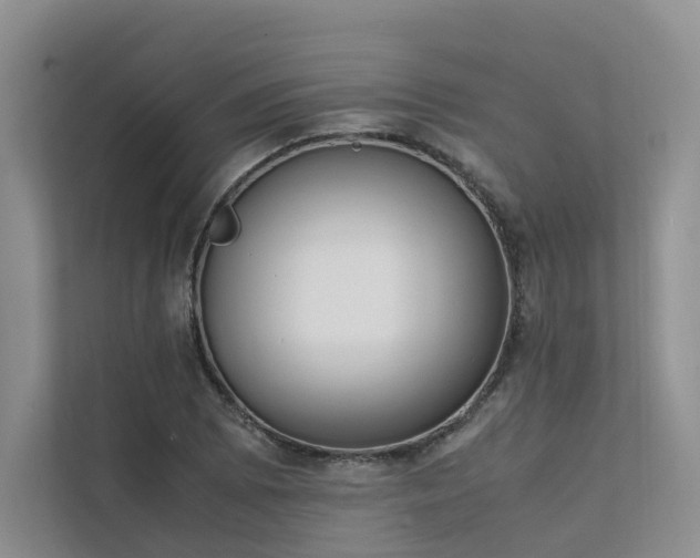 X0000111781073200907231118