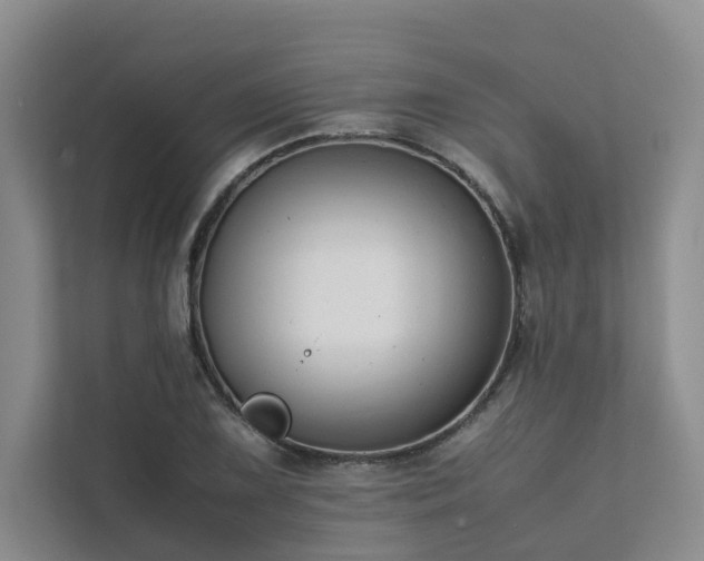 X0000111781075200907231118