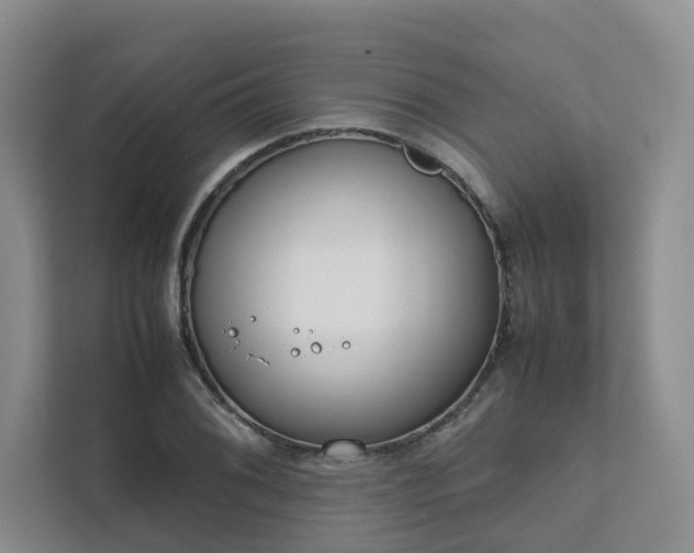 X0000111781076200907231118
