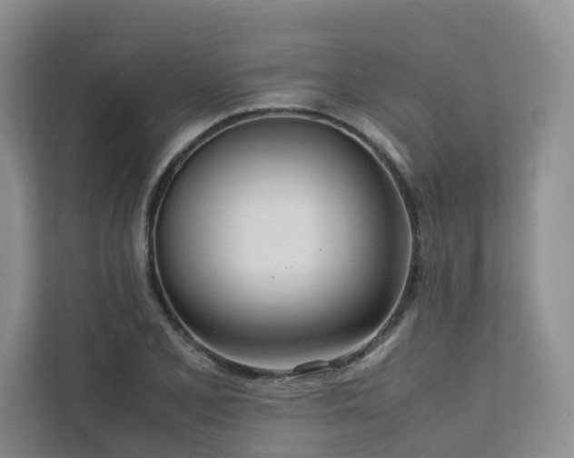 X0000111781077200907231118