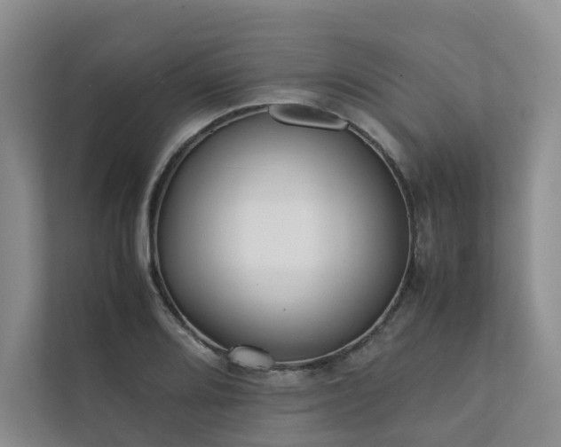 X0000111781080200907231118