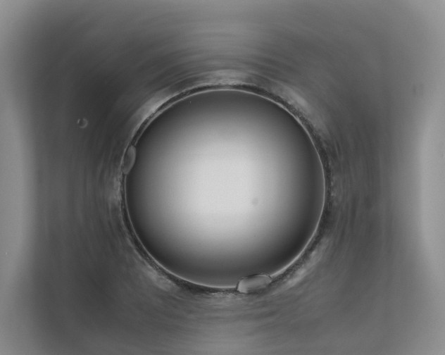 X0000111781081200907231118
