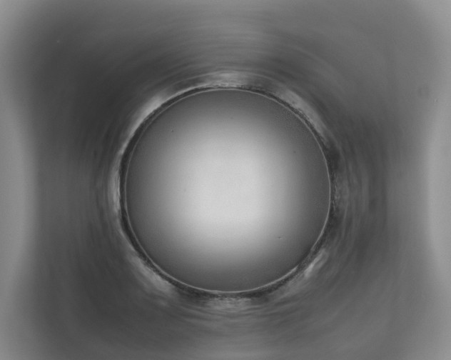X0000111781083200907231118