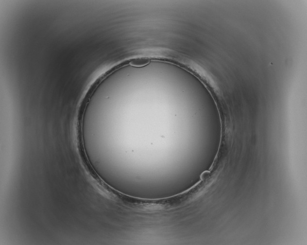 X0000111781085200907231118