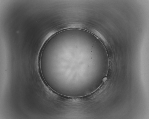 X0000111781087200907231118