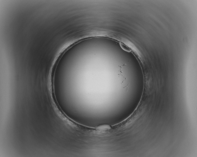 X0000111781088200907231118